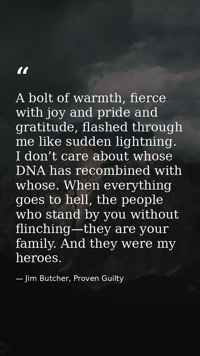 A bolt of warmth, fierce with joy and pride and gratitude, flashed through me like sudden lightning. I don’t care about  — Jim Butcher, Proven Guilty