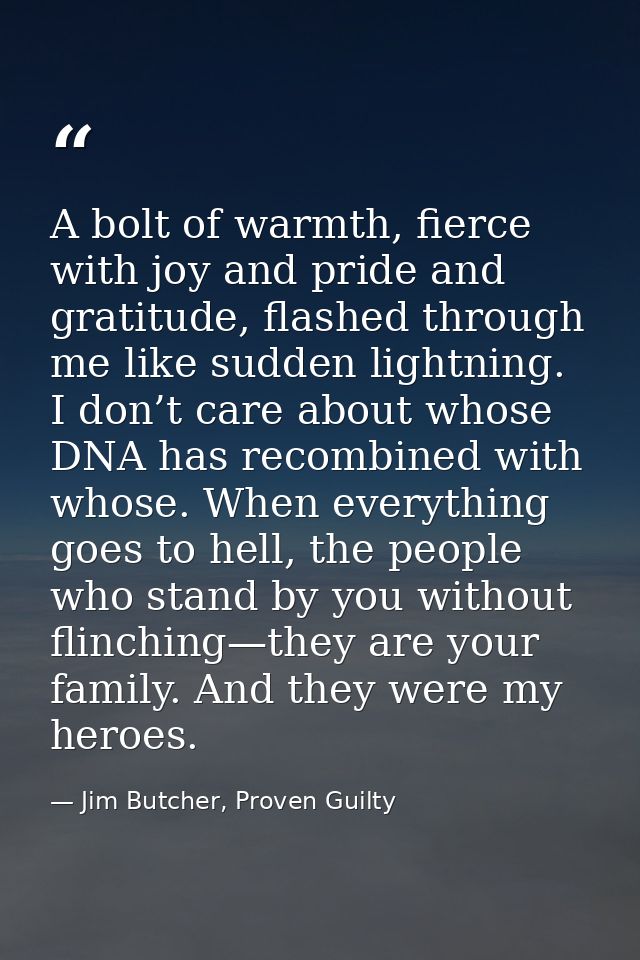 A bolt of warmth, fierce with joy and pride and gratitude, flashed through me like sudden lightning. I don’t care about  — Jim Butcher, Proven Guilty