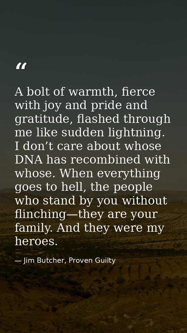 A bolt of warmth, fierce with joy and pride and gratitude, flashed through me like sudden lightning. I don’t care about  — Jim Butcher, Proven Guilty