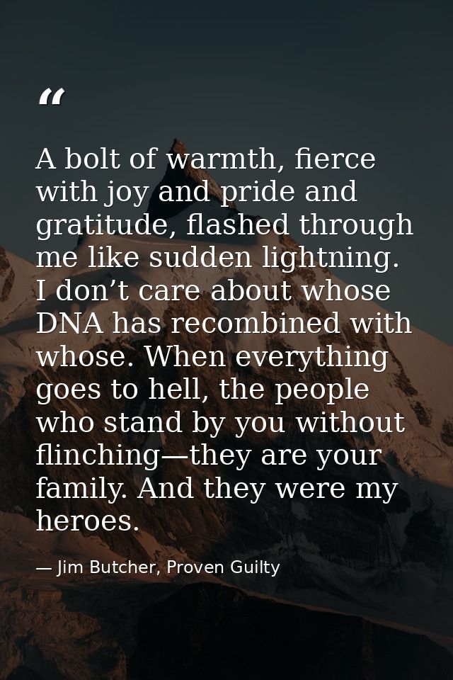 A bolt of warmth, fierce with joy and pride and gratitude, flashed through me like sudden lightning. I don’t care about  — Jim Butcher, Proven Guilty