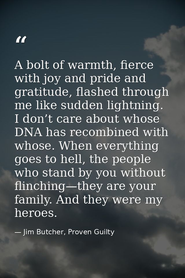 A bolt of warmth, fierce with joy and pride and gratitude, flashed through me like sudden lightning. I don’t care about  — Jim Butcher, Proven Guilty