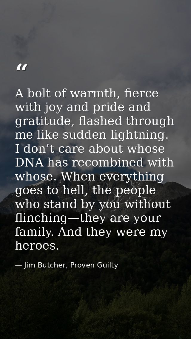A bolt of warmth, fierce with joy and pride and gratitude, flashed through me like sudden lightning. I don’t care about  — Jim Butcher, Proven Guilty