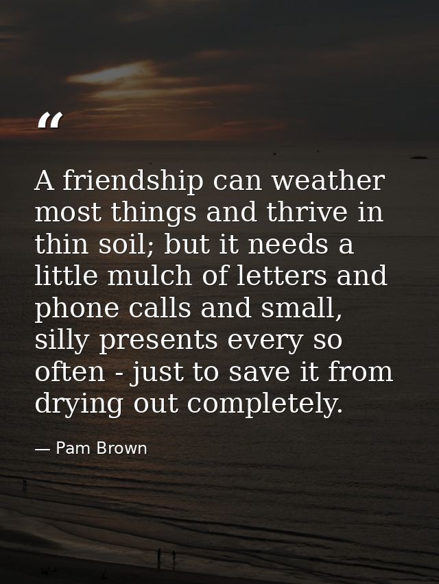 A friendship can weather most things and thrive in thin soil; but it needs a little mulch of letters and phone calls and — Pam Brown