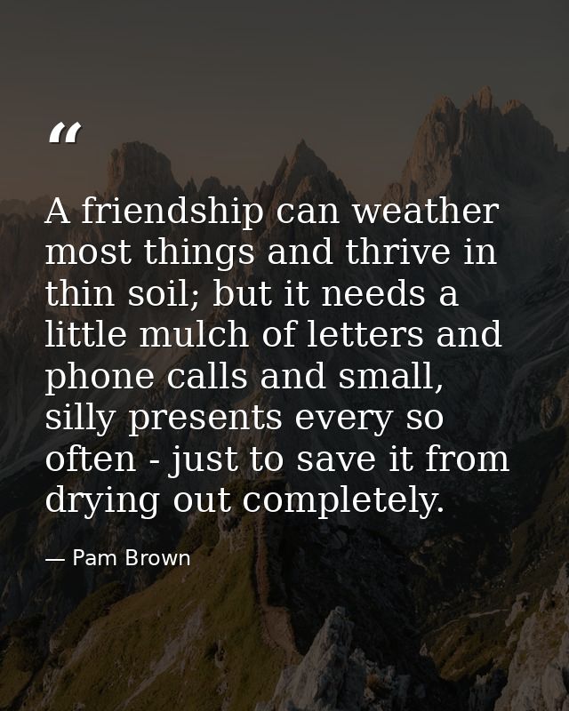 A friendship can weather most things and thrive in thin soil; but it needs a little mulch of letters and phone calls and — Pam Brown