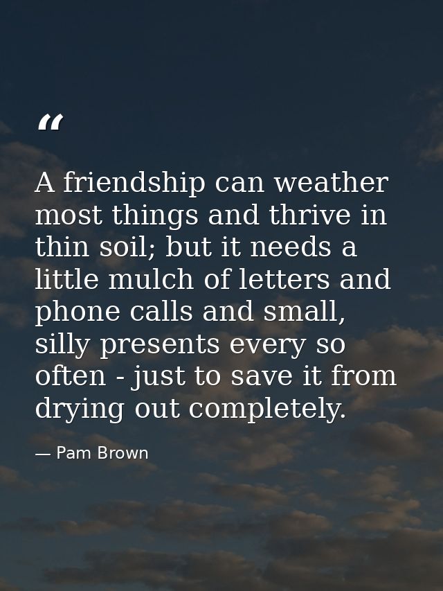 A friendship can weather most things and thrive in thin soil; but it needs a little mulch of letters and phone calls and — Pam Brown
