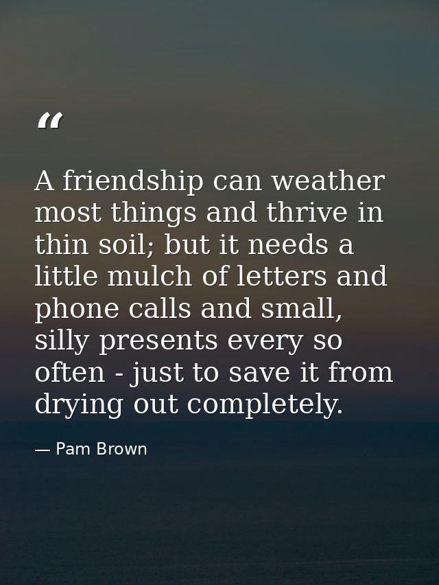 A friendship can weather most things and thrive in thin soil; but it needs a little mulch of letters and phone calls and — Pam Brown