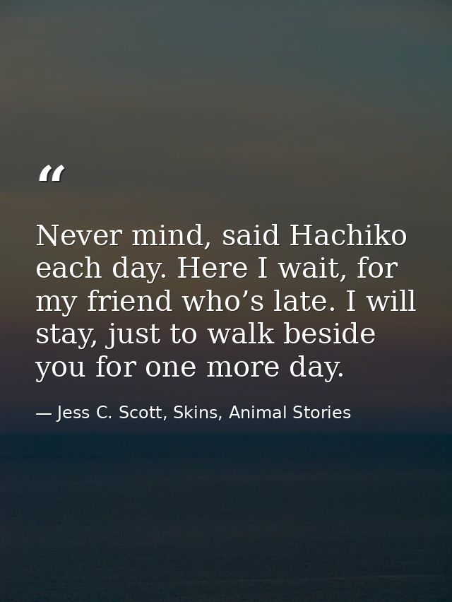 Never mind, said Hachiko each day. Here I wait, for my friend who’s late. I will stay, just to walk beside you for one m — Jess C. Scott, Skins, Animal Stories