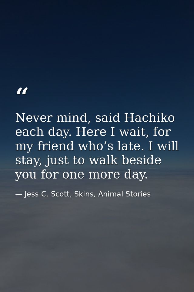 Never mind, said Hachiko each day. Here I wait, for my friend who’s late. I will stay, just to walk beside you for one m — Jess C. Scott, Skins, Animal Stories