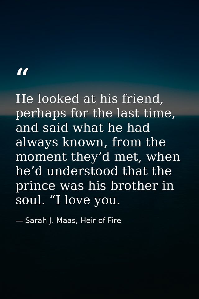 He looked at his friend, perhaps for the last time, and said what he had always known, from the moment they’d met, when  — Sarah J. Maas, Heir of Fire