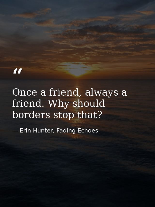 Once a friend, always a friend. Why should borders stop that? — Erin Hunter, Fading Echoes