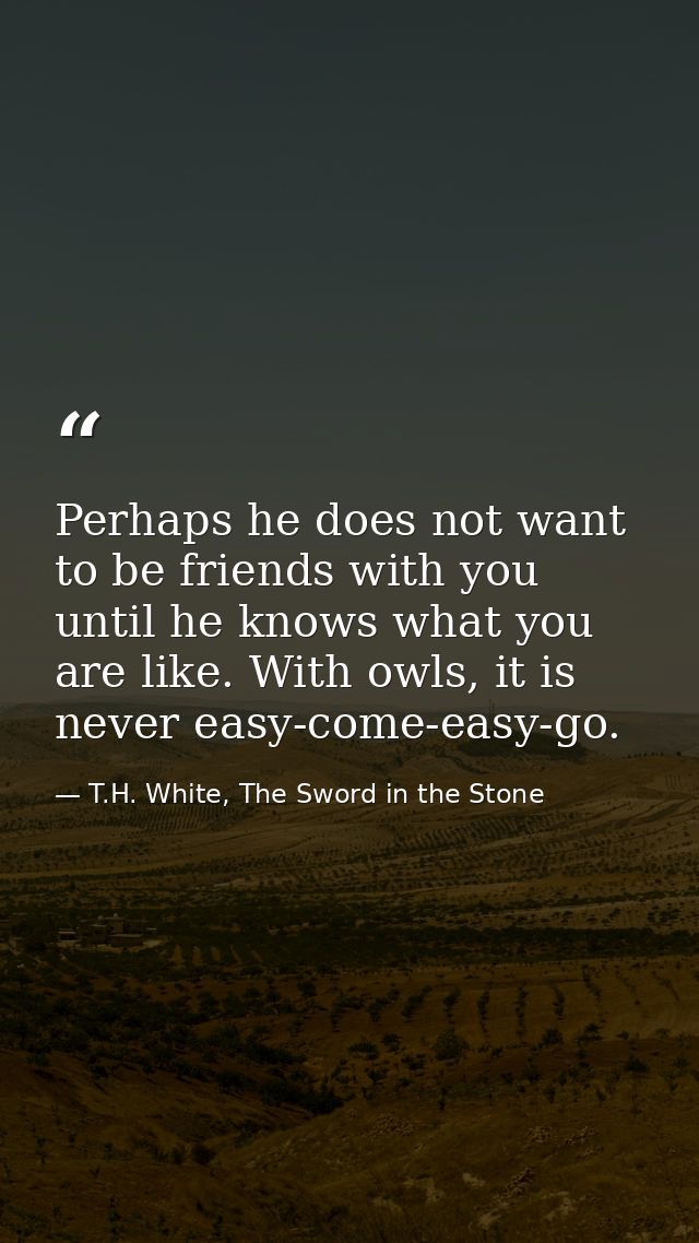 Perhaps he does not want to be friends with you until he knows what you are like. With owls, it is never easy-come-easy- — T.H. White, The Sword in the Stone