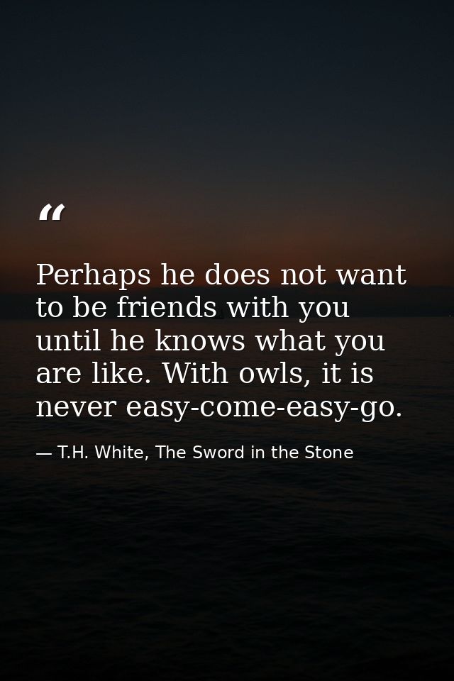 Perhaps he does not want to be friends with you until he knows what you are like. With owls, it is never easy-come-easy- — T.H. White, The Sword in the Stone