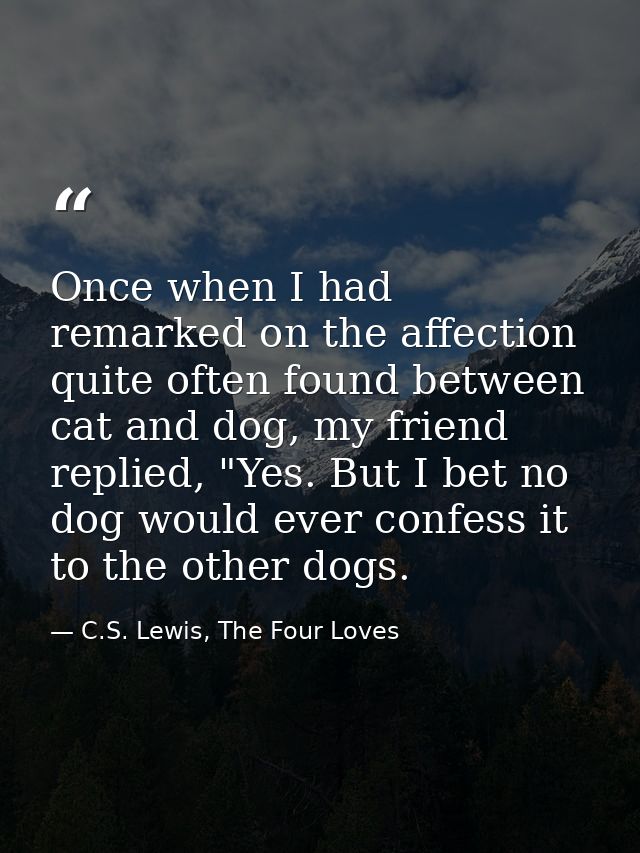Once when I had remarked on the affection quite often found between cat and dog, my friend replied, "Yes. But I bet no d — C.S. Lewis, The Four Loves