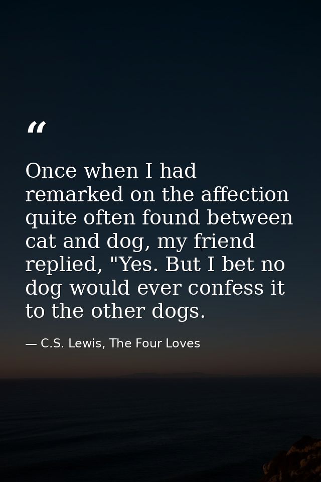 Once when I had remarked on the affection quite often found between cat and dog, my friend replied, "Yes. But I bet no d — C.S. Lewis, The Four Loves