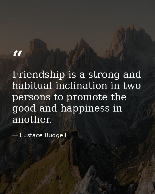 Friendship is a strong and habitual inclination in two persons to promote the good and happiness in another. — Eustace Budgell