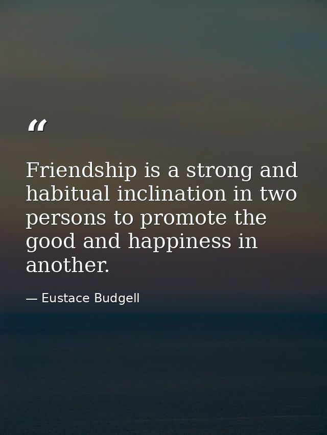 Friendship is a strong and habitual inclination in two persons to promote the good and happiness in another. — Eustace Budgell