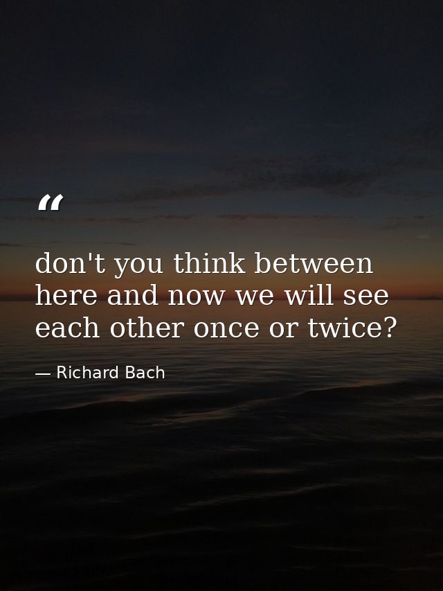 don't you think between here and now we will see each other once or twice? — Richard Bach