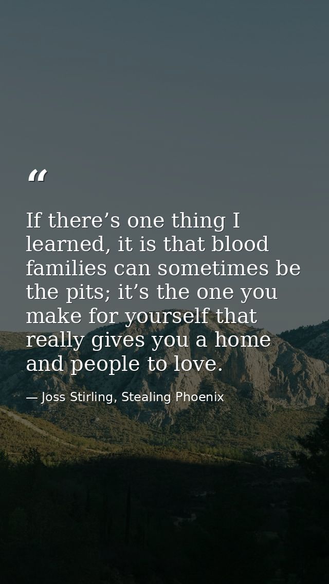 If there’s one thing I learned, it is that blood families can sometimes be the pits; it’s the one you make for yourself  — Joss Stirling, Stealing Phoenix