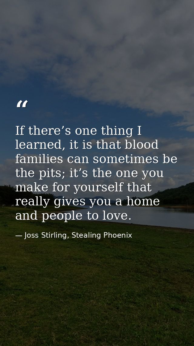 If there’s one thing I learned, it is that blood families can sometimes be the pits; it’s the one you make for yourself  — Joss Stirling, Stealing Phoenix