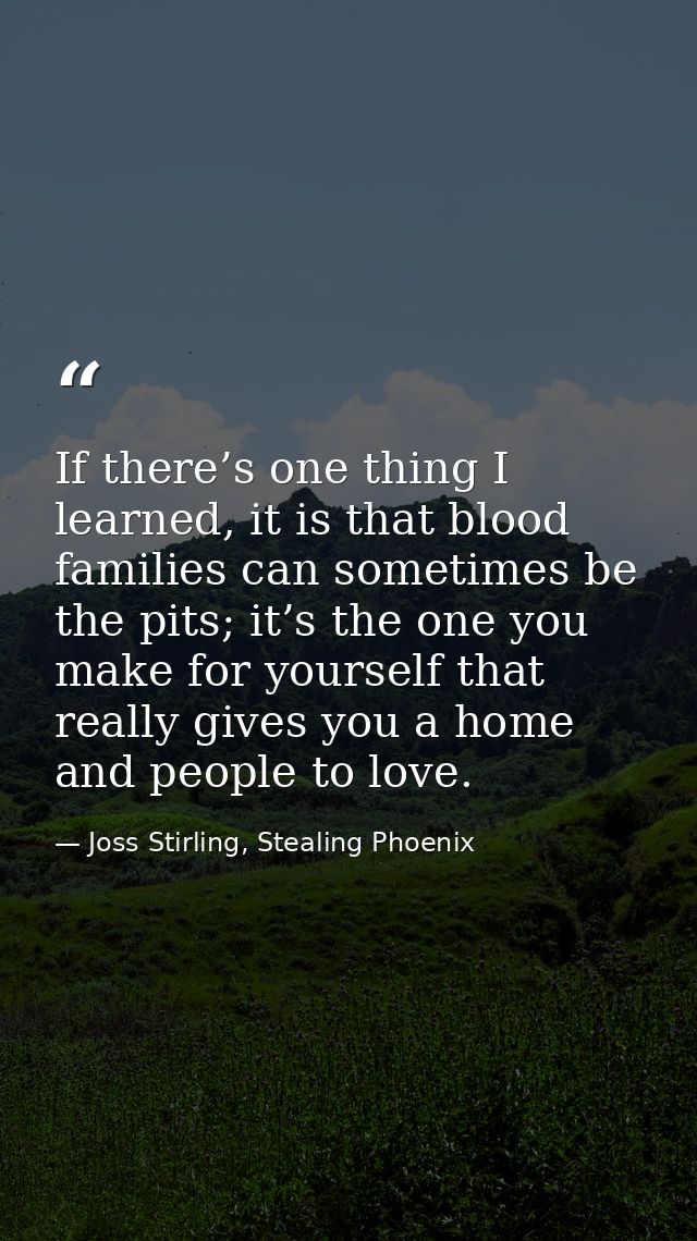 If there’s one thing I learned, it is that blood families can sometimes be the pits; it’s the one you make for yourself  — Joss Stirling, Stealing Phoenix