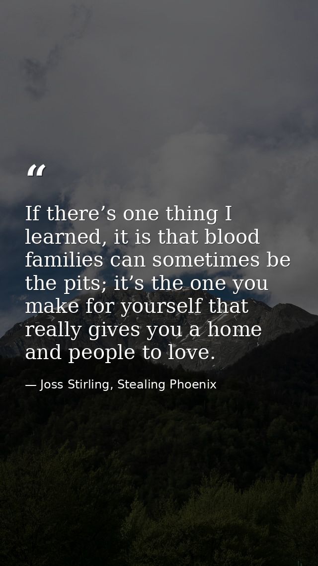 If there’s one thing I learned, it is that blood families can sometimes be the pits; it’s the one you make for yourself  — Joss Stirling, Stealing Phoenix