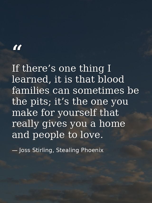 If there’s one thing I learned, it is that blood families can sometimes be the pits; it’s the one you make for yourself  — Joss Stirling, Stealing Phoenix