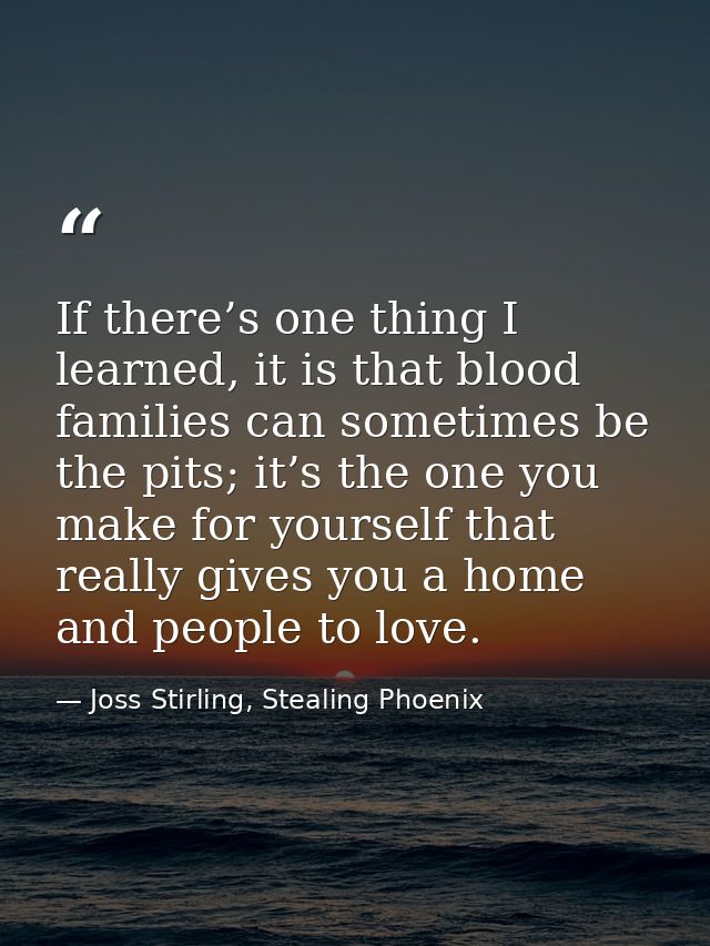 If there’s one thing I learned, it is that blood families can sometimes be the pits; it’s the one you make for yourself  — Joss Stirling, Stealing Phoenix