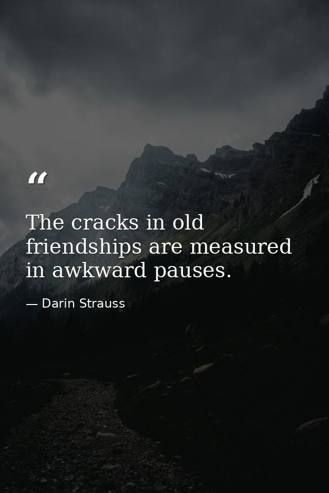 The cracks in old friendships are measured in awkward pauses. — Darin Strauss
