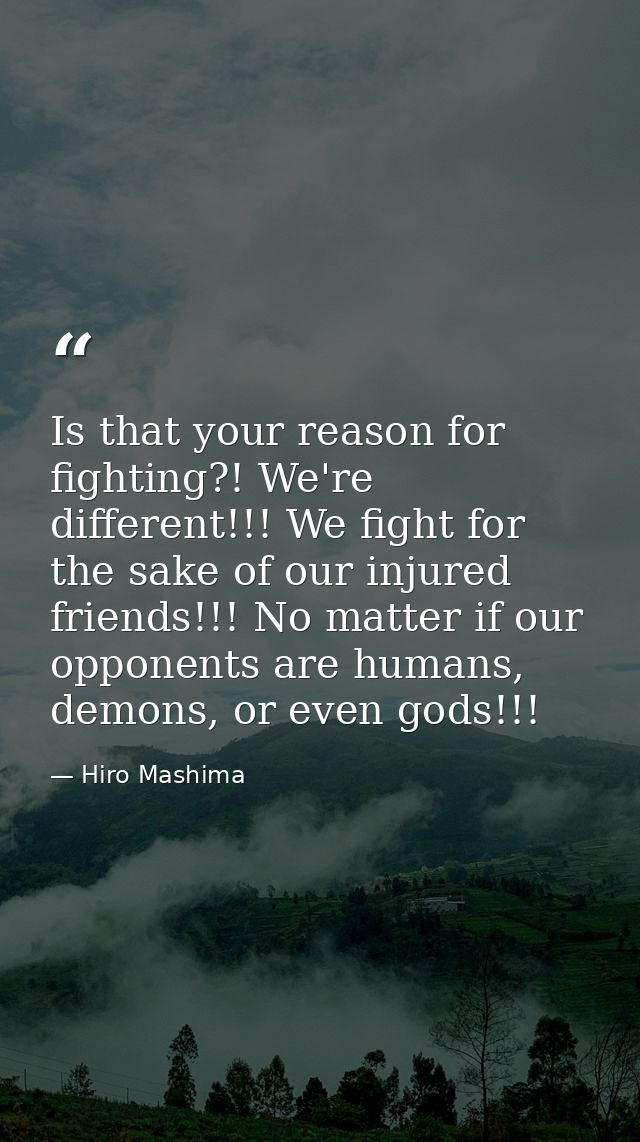 Is that your reason for fighting?! We're different!!! We fight for the sake of our injured friends!!! No matter if our o — Hiro Mashima