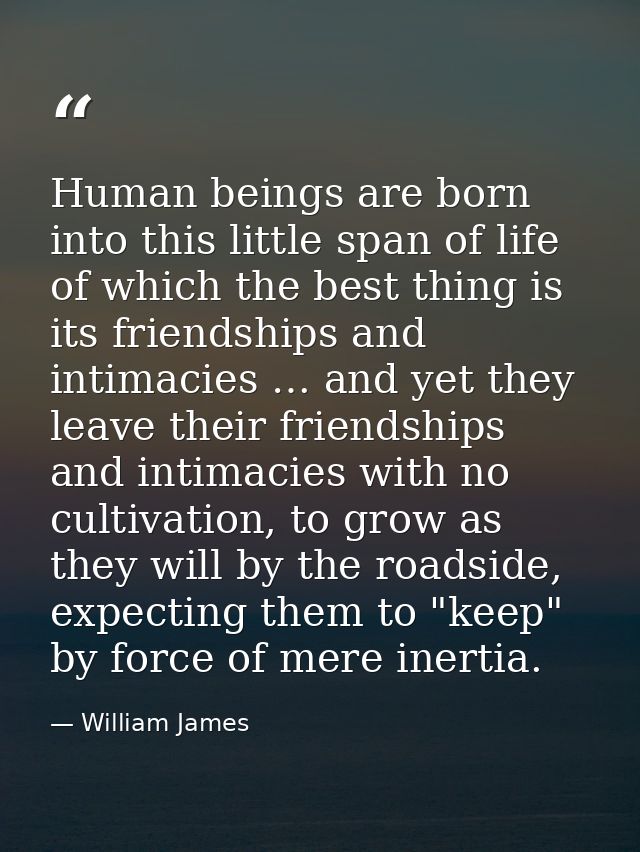 Human beings are born into this little span of life of which the best thing is its friendships and intimacies … and yet  — William James