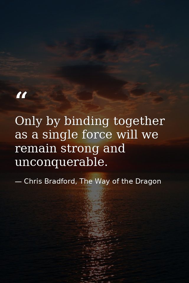 Only by binding together as a single force will we remain strong and unconquerable. — Chris Bradford, The Way of the Dragon