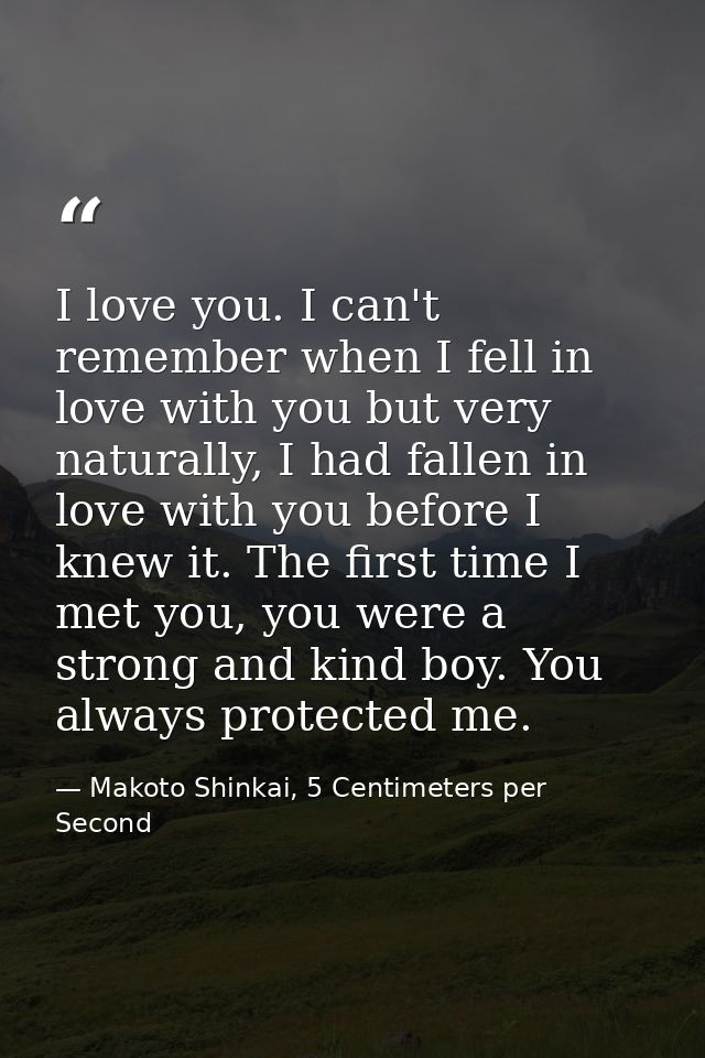 I love you. I can't remember when I fell in love with you but very naturally, I had fallen in love with you before I kne — Makoto Shinkai, 5 Centimeters per Second
