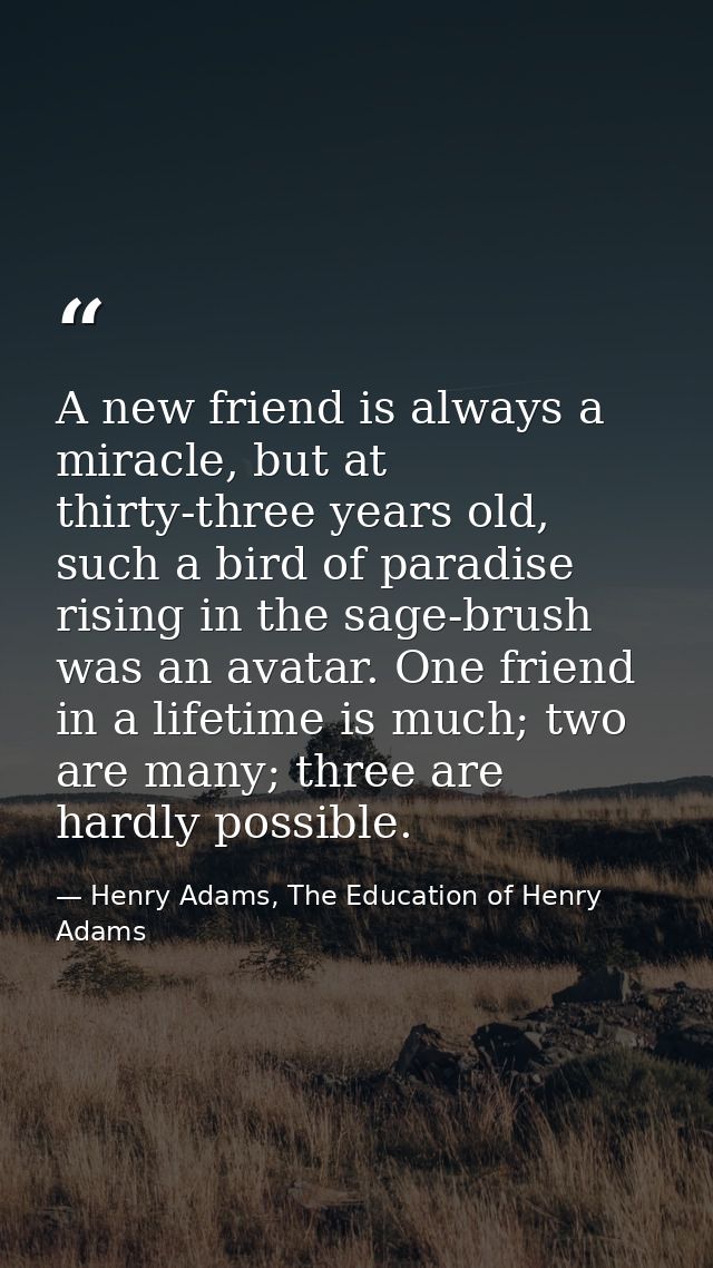 A new friend is always a miracle, but at thirty-three years old, such a bird of paradise rising in the sage-brush was an — Henry Adams, The Education of Henry Adams