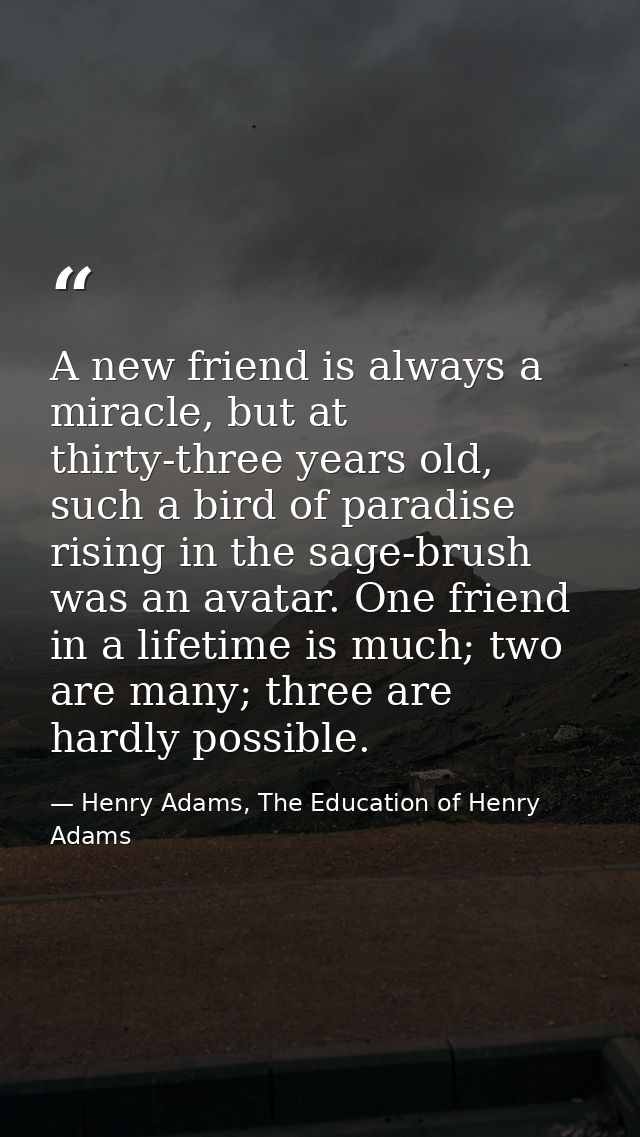 A new friend is always a miracle, but at thirty-three years old, such a bird of paradise rising in the sage-brush was an — Henry Adams, The Education of Henry Adams
