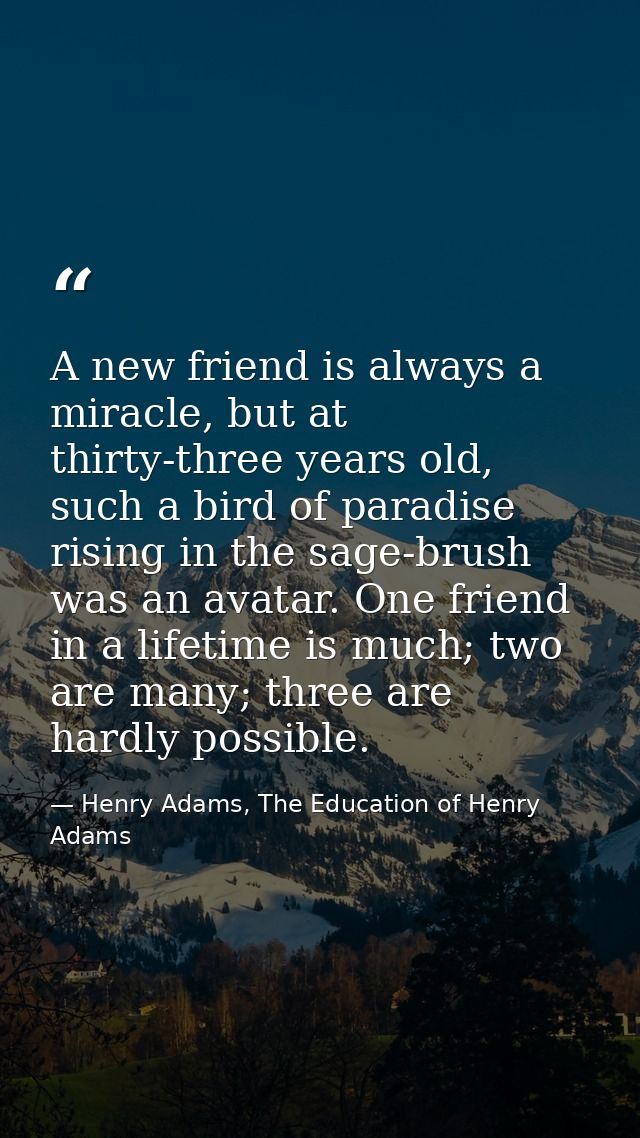 A new friend is always a miracle, but at thirty-three years old, such a bird of paradise rising in the sage-brush was an — Henry Adams, The Education of Henry Adams