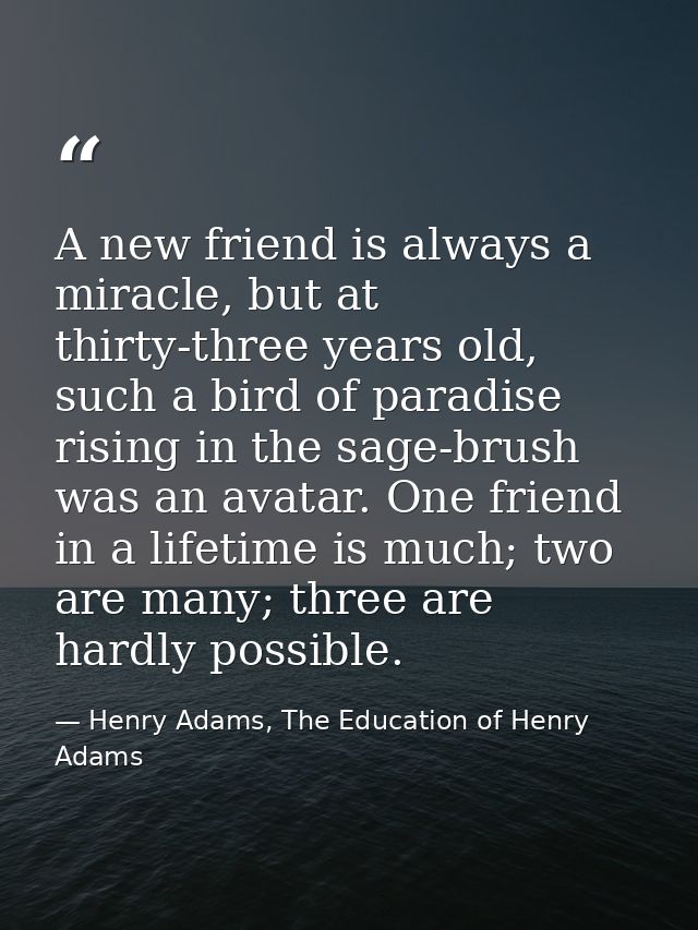 A new friend is always a miracle, but at thirty-three years old, such a bird of paradise rising in the sage-brush was an — Henry Adams, The Education of Henry Adams