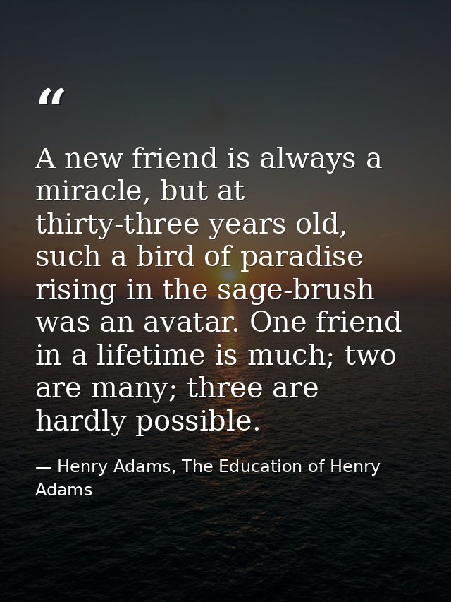 A new friend is always a miracle, but at thirty-three years old, such a bird of paradise rising in the sage-brush was an — Henry Adams, The Education of Henry Adams