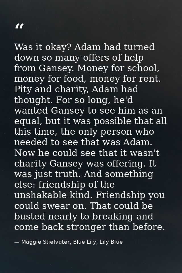 Was it okay? Adam had turned down so many offers of help from Gansey. Money for school, money for food, money for rent.  — Maggie Stiefvater, Blue Lily, Lily Blue