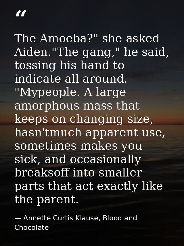 The Amoeba?" she asked Aiden."The gang," he said, tossing his hand to indicate all around. "Mypeople. A large amorphous  — Annette Curtis Klause, Blood and Chocolate