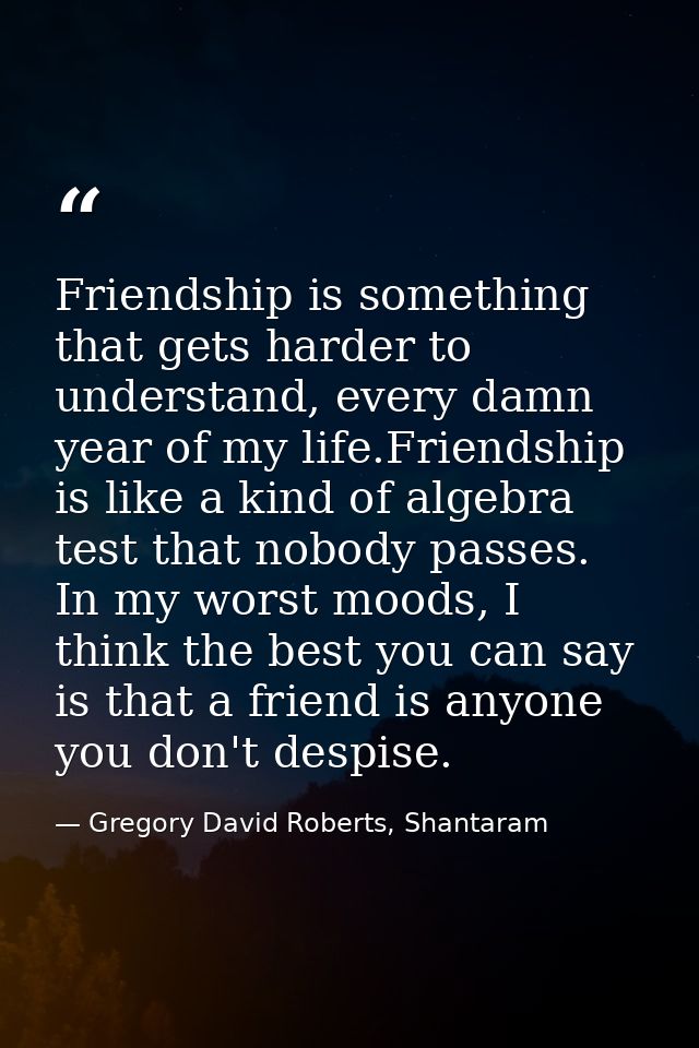 Friendship is something that gets harder to understand, every damn year of my life.Friendship is like a kind of algebra  — Gregory David Roberts, Shantaram