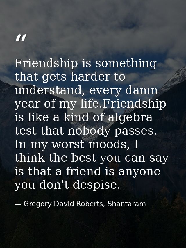 Friendship is something that gets harder to understand, every damn year of my life.Friendship is like a kind of algebra  — Gregory David Roberts, Shantaram