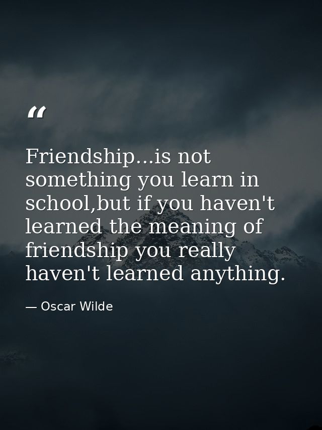 Friendship...is not something you learn in school,but if you haven't learned the meaning of friendship you really haven' — Oscar Wilde