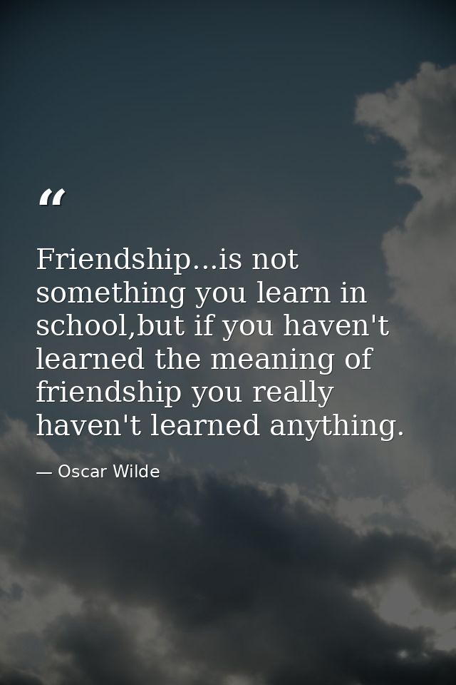 Friendship...is not something you learn in school,but if you haven't learned the meaning of friendship you really haven' — Oscar Wilde