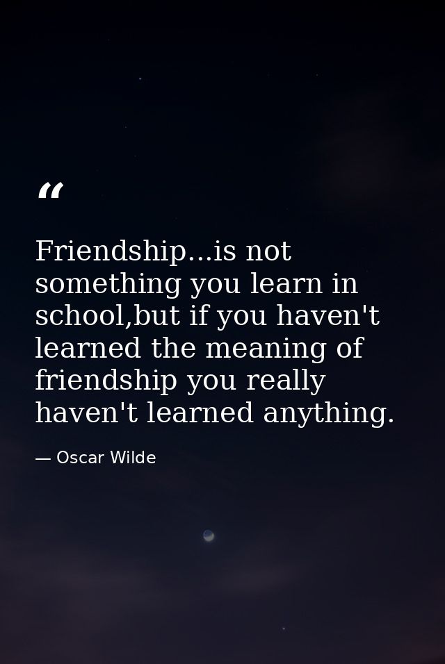 Friendship...is not something you learn in school,but if you haven't learned the meaning of friendship you really haven' — Oscar Wilde
