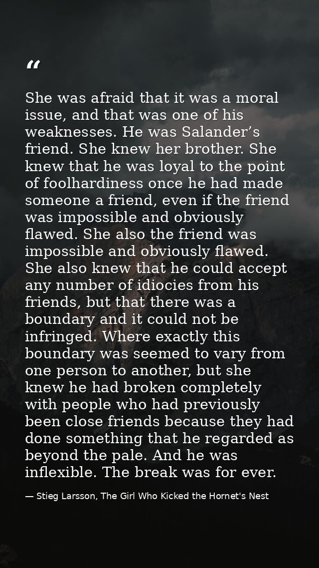 She was afraid that it was a moral issue, and that was one of his weaknesses. He was Salander’s friend. She knew her bro — Stieg Larsson, The Girl Who Kicked the Hornet's Nest