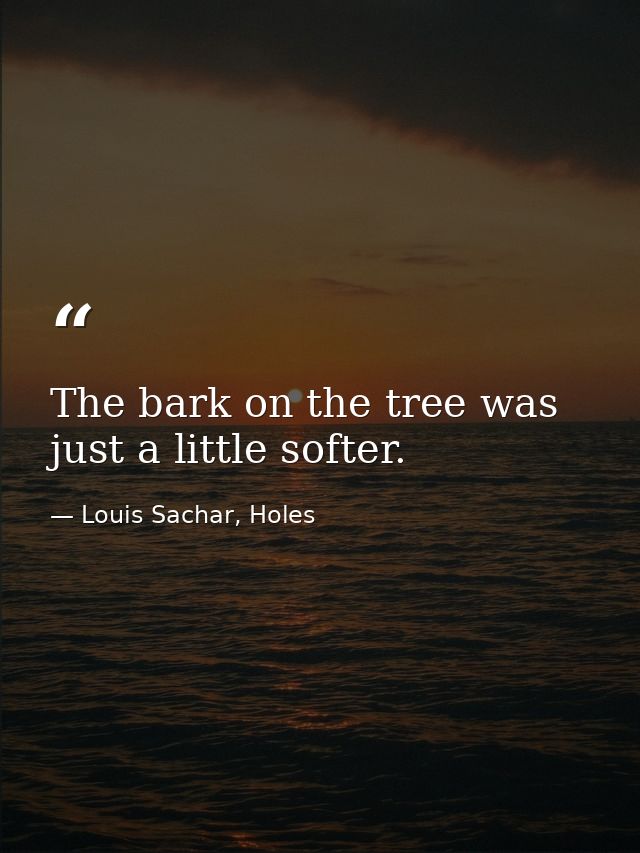 The bark on the tree was just a little softer. — Louis Sachar, Holes