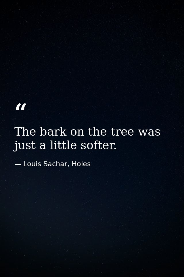 The bark on the tree was just a little softer. — Louis Sachar, Holes