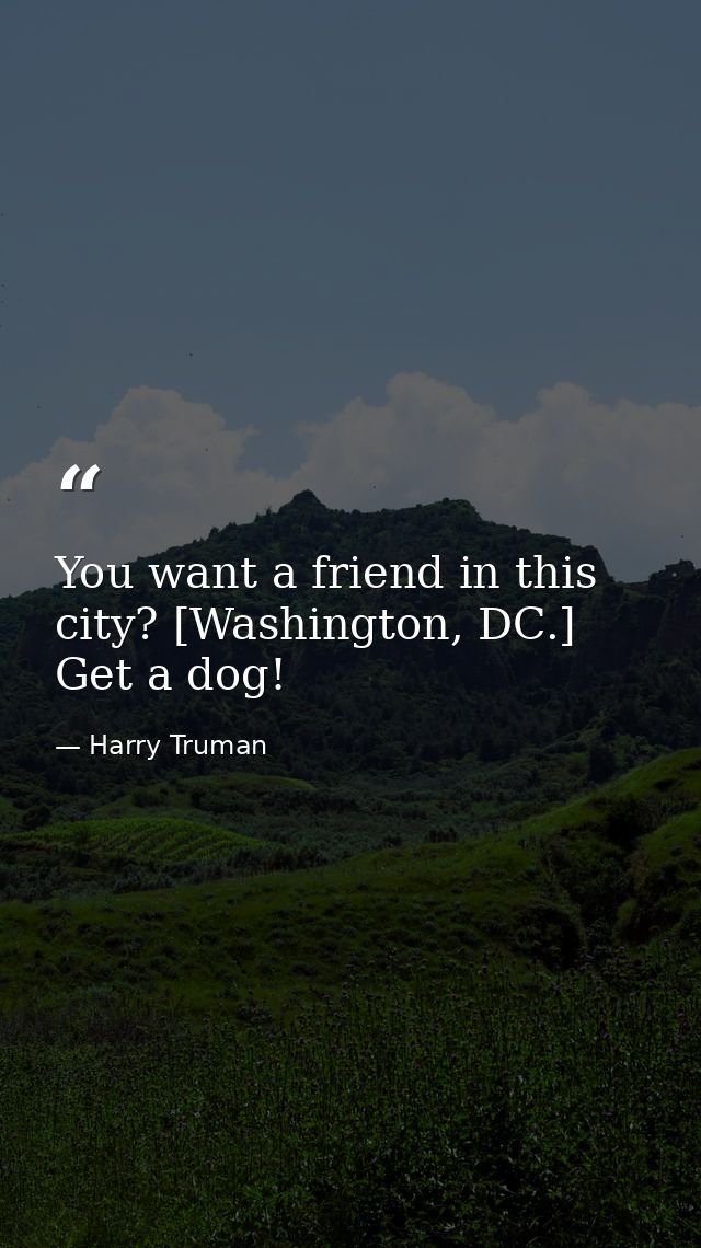 You want a friend in this city? [Washington, DC.] Get a dog! — Harry Truman