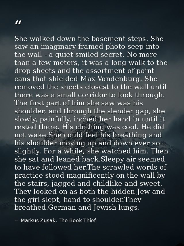 She walked down the basement steps. She saw an imaginary framed photo seep into the wall - a quiet-smiled secret. No mor — Markus Zusak, The Book Thief