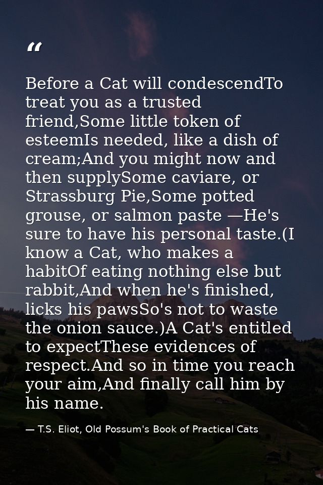 Before a Cat will condescendTo treat you as a trusted friend,Some little token of esteemIs needed, like a dish of cream; — T.S. Eliot, Old Possum's Book of Practical Cats